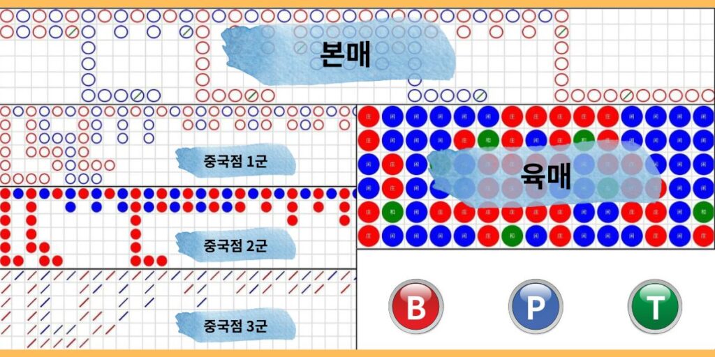 바카라 그림장과 로드맵에서 본매와 육매 흐름을 구분한 화면