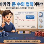 바카라 큰 수의 법칙이란?